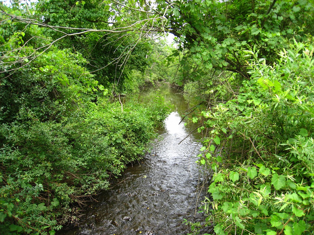 Matthaei Botanical Gardens 2010 0580.jpg - Matthaei Botanical Gardens in Ann Arbor Michigan has several miles of trails that can be enjoyed year round.